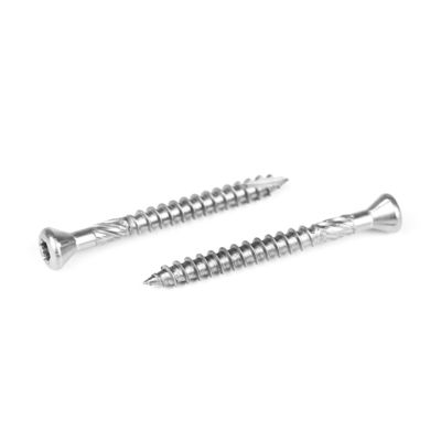 Pan Head Stainless Steel Oval Torx Deck Screw for Fast and Affordable Installation