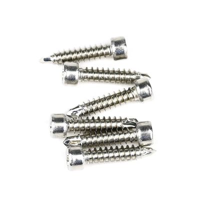 Steel Structure Self Drilling Tapping Screw M6x25mm Torx Fillister with Installation