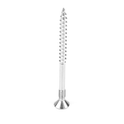 100mm Stainless Steel Double Thread Countersunk Torx Head Drywall Screw