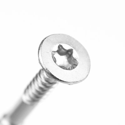Stainless Steel Torx Double Thread Gypsum Plasterboard Screw with Pozidriv Drive Type
