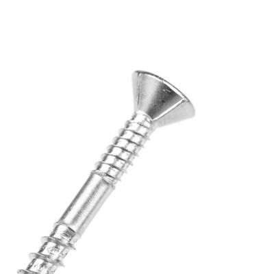 Stainless Steel Torx Double Thread Gypsum Plasterboard Screw with Pozidriv Drive Type