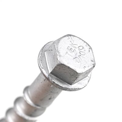 Concrete Building M10 Hex Washer Head Concrete Bolts for Secure Rebar from Customized