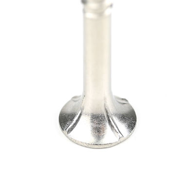 Phillips Cross Recess Drive Type Stainless Steel 75mm Timber Screws for Wood Construction