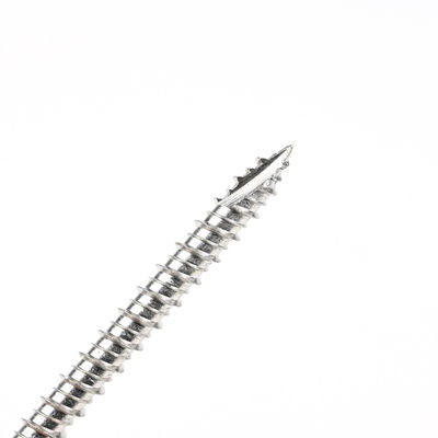 60mm Stainless Steel Vis Autotaraudeuse with Torx Drive and Phillips Washer Hex Head