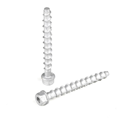 M6 75mm Stainless Steel Hex Head Concrete Anchor Bolt for Thread Rod Payment Term T/T