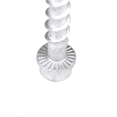 M6 75mm Stainless Steel Hex Head Concrete Anchor Bolt for Thread Rod Payment Term T/T