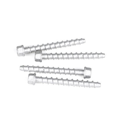 M6 75mm Stainless Steel Hex Head Concrete Anchor Bolt for Thread Rod Payment Term T/T