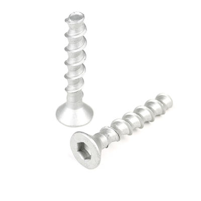 SS304 Flat Head Concrete Bolt Anchor M6 M8 M10 M12 Concrete Anchor Series