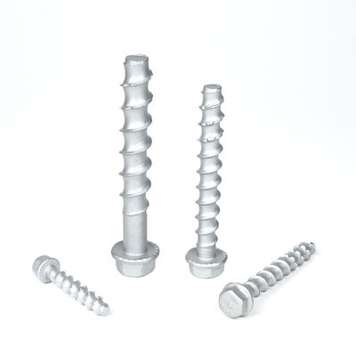 Flat Head Stainless Steel Concrete Bolt Anchor M6 M8 M10 M12 for Customized Support
