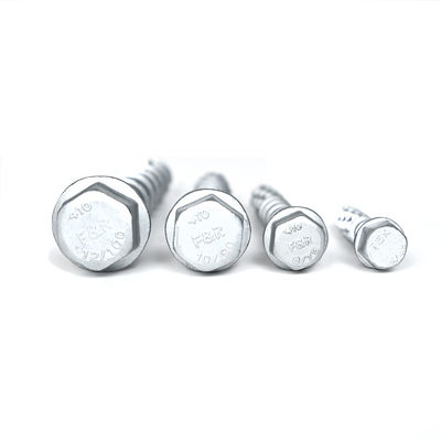 Flat Head Stainless Steel Concrete Bolt Anchor M6 M8 M10 M12 for Customized Support