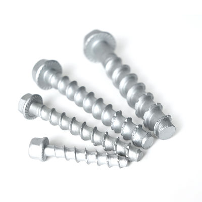 Flat Head Stainless Steel Concrete Bolt Anchor M6 M8 M10 M12 for Customized Support