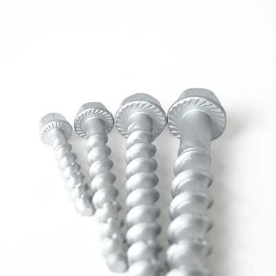 Flat Head Stainless Steel Concrete Bolt Anchor M6 M8 M10 M12 for Customized Support