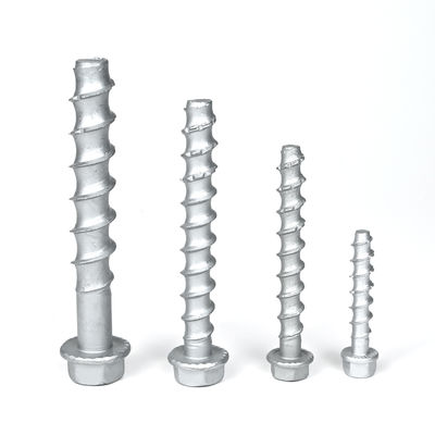 Flat Head Stainless Steel Concrete Bolt Anchor M6 M8 M10 M12 for Customized Support