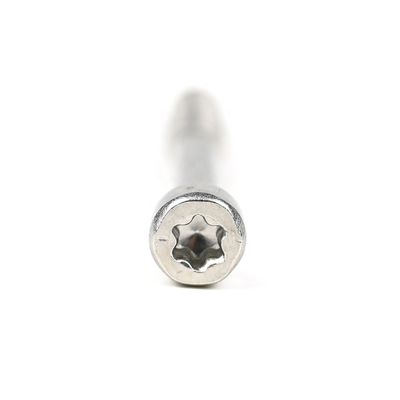 Stainless Steel Cup Fillister Head Torx Self Tapping Screw for Various Applications