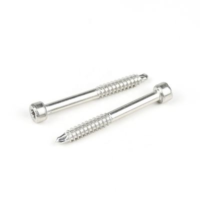 Stainless Steel Cup Fillister Head Torx Self Tapping Screw for Various Applications