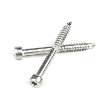 Stainless Steel Cup Fillister Head Torx Self Tapping Screw for Various Applications