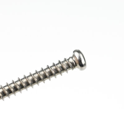 Stainless Steel Square Drive Pan Head Self Drilling Tapping Screws Sus410 L/C Payment Term