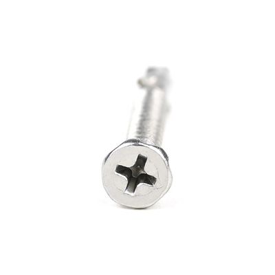 SUS410 Flat Phillips Head Self Tapping Self Drilling Screw Wing Tek Screw with Nibs 4.2x38