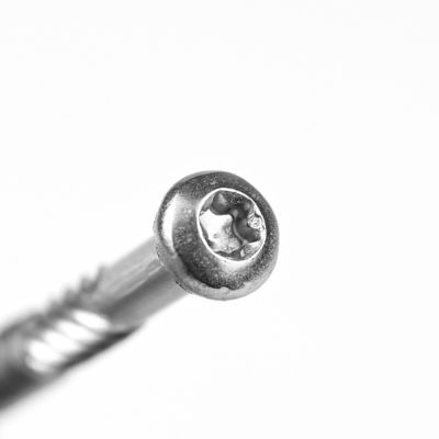 Truss Head Style 316 Stainless Steel Torx Pan Head Self Tapping Screws for Customization