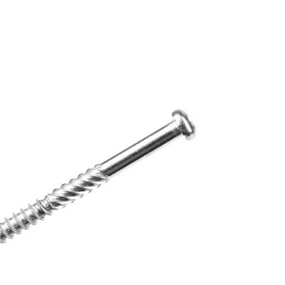 Customized Ss316 Torx Pan Stainless Steel Metal Self Tapping Screw for Wood Structure
